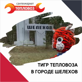 Тигр Тепловоза в Шелехове